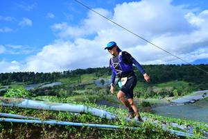 BIB: 8162
                            <button type="button" onclick="openModal(13379998)" class="btn btn-primary btn-sm float-right btn-popup" data-toggle="modal" data-target=".modal-high-quality">
                        <i class="fas fa-shopping-cart"></i> Add to Cart
                    </button>
                                            <button type="button" onclick="isThisMe(13379998, true)" class="btn btn-success btn-sm float-right btn-popup btn-isme hidden" data-toggle="tooltip" data-placement="bottom" title="นี่คือรูปของคุณใช่ไหม คลิกที่นี่เพื่อเอาเข้าอัลบั้ม">
                        <i class="fas fa-plus"></i> Add to album
                    </button>
                    <button type="button" onclick="isThisMe(13379998, false)" class="btn btn-warning btn-sm float-right btn-popup btn-isnotme hidden">
                        <i class="fas fa-ban"></i> Remove from album
                    </button>